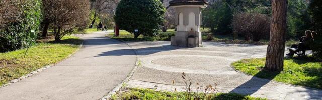 Iz Botaničke bašte građani kradu zaštićene vrste