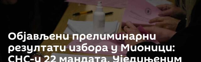 Oбјављени прелиминарни резултати избора у Мионици: СНС-у 22 мандата, Уједињеним за Мионицу 16