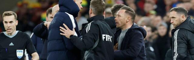 Selektor Velsa ironično prokomentarisao uspeh Bosne i Hercegovine: Kakvo smo mi sra..e, kad smo od njih izgubili!