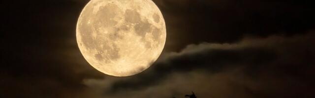 Sutra stiže MOĆAN SUPERMESEC u Biku i donosi finansijsku i emocionalnu stabilnost