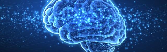 Naučnici otkrivaju skrivene blokove za učenje u mozgu