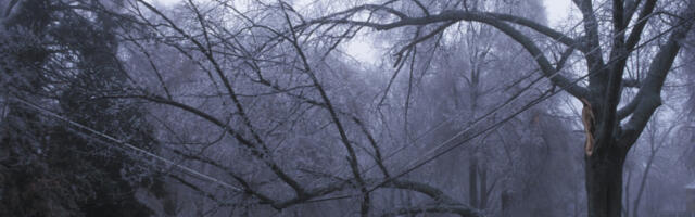 ZIMA JE UPRAVO ZVANIČNO POČELA