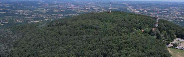 Prodaje se uknjižena kuća i gotov biznis u paketu - evo i gde: Posađeno 2.000 biljaka, cena i više nego top