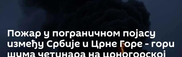 Пожар у пограничном појасу између Србије и Црне Горе - гори шума четинара на црногорској страни
