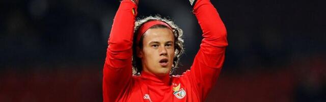 Svilar u Romi do 2027. godine, plata oko 1.000.000 evra