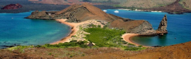 ​Након 200 година на Галапагосу се појавила птица која је сматрана изумрлом