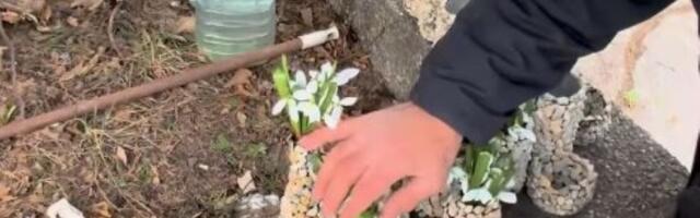 Influenser testirao dobrotu, a cvet prodavca raznežio Srbiju (VIDEO)