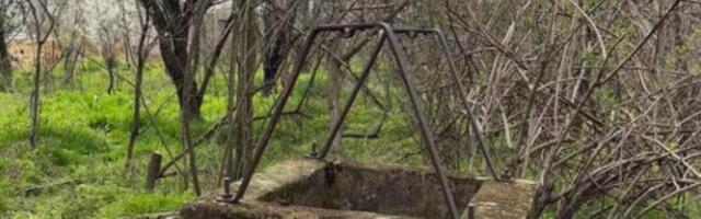 Otkriveno ko je trovao pse kod Aleksinca! U bunaru pronađeno 7 leševa životinja, dečak zatekao jeziv prizor