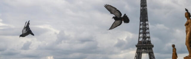 Разбијена мрежа „лажних банкарских саветника”у Паризу