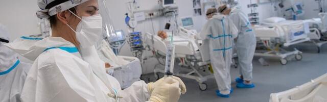 OPASNA ZARAZA NA PRAGU SRBIJE! Upaljen alarm, ugrožen veliki broj