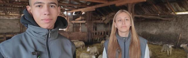 Željana i Teodor ustaju ranom zorom, gaje 500 ovaca i sve postižu - ne beže od posla: Oni su ponos svojih roditelja