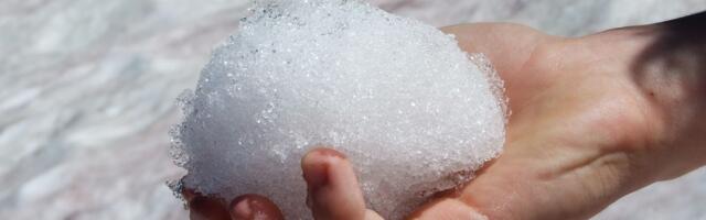 Ovo je najtužniji Sneško Belić kojeg ćete videti u Srbiji: Alkohol ga izvrnuo i to BUKVALNO