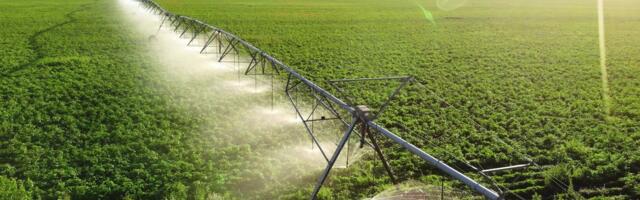 Istočna Srbija "prva u redu": Do juna nova zakonska rešenja za problem navodnjavanja