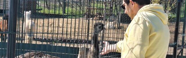 Niški Zoo kutak dobio neočekivane goste! Ove vrste u njemu su našle utočište po prvi put