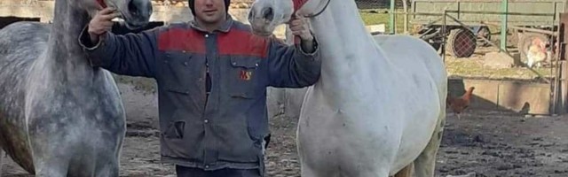 Priča iz Srpskog Itebeja: Kristijan Kovač gaji veliku ljubav prema konjima