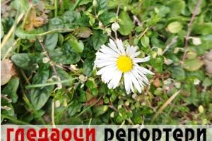 Гледаоци репортери (26. фебруар 2023.)