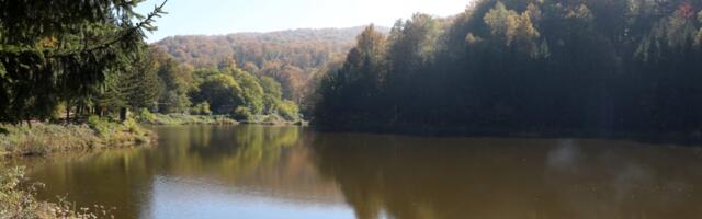 Raste vodostaj Drine, zatvoren parking na obali u Zvorniku