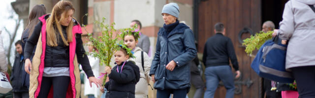 ŠTA SA VRBICOM POSLE LAZAREVE SUBOTE, KAO I SA ONOM OD PROŠLE GODINE: Sveštenik objasnio kako i gde se odlažu vrbine grančice