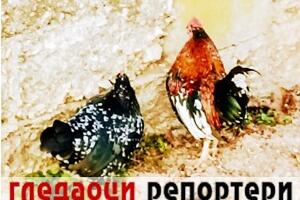 Гледаоци репортери (28. новембар 2022)