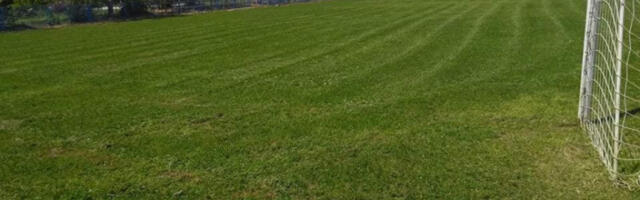 BEZ VEĆIH PROMENA NA PROLEĆE: Plan je da što više omladinaca iz škole dobije šansu!