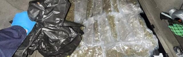 Droga u gepeku audija: Velika zaplena na Batrovcima (FOTO)