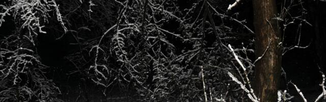 IVICA I MARICA IZ BANJALUKE Slučaj o kom bruji region! Brat i sestra išli za ocem kroz duboki sneg, pa se izgubili, a onda se pojavio on: "Bilo mi je čudno..."