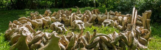 Praistorijska skloništa pre 18.000 godina pravljena od kostiju mamuta