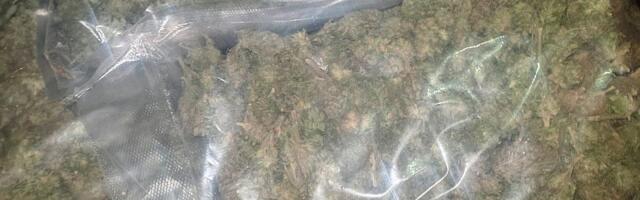 FOTO: Zaustavljen u Prokuplju, policija mu u gepeku našla više od osam kilograma marihuane