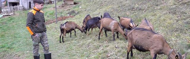 Muhamed – dečak zaljubljen u selo (VIDEO)