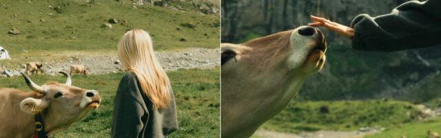 Klimatska anksioznost: Kako se nositi sa brigom o budućnosti planete?