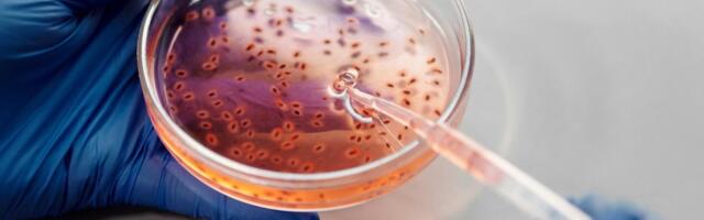 Otkrivena ultra retka krvna grupa: Naučnici pronašli mutaciju koju skoro niko nema