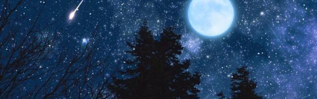 Dnevni horoskop za ponedeljak 5. januar: Ovnovima poboljšanje na poslu, Strelčevi treba da smanje slatkiše