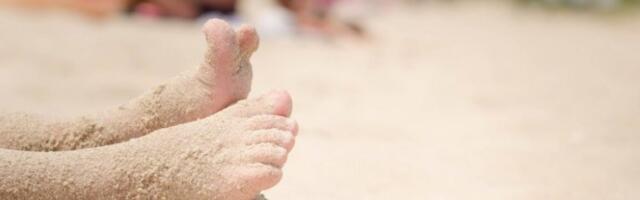 ALARM NA POPULARNIM PLAŽAMA, POJAVILO SE JEZIVO BIĆE: Ubod je izuzetno bolan, ne dirajte ga ni ako je mrtvo! OPASNOST VREBA IZ PLIĆAKA! (VIDEO)