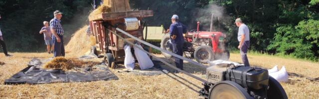 ZLATNA BUKLIJA ZA "ARAN": Novo priznanje Pantelićima u Velikoj Plani (FOTO)