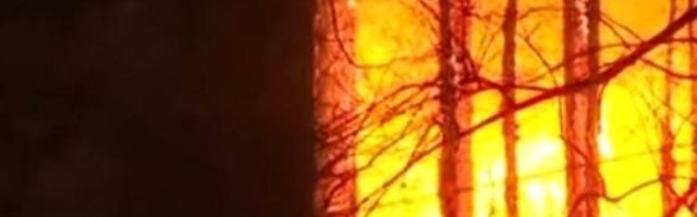 Devojčica od 8 godina, bacila je dušek kroz prozor zapaljenog doma u Čikagu i skočila kroz prozor