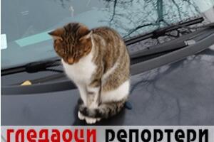 Гледаоци репортери (27. новембар 2022)