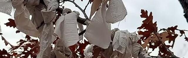 U Đavoljoj Varoši Sveta Petka leči vernike: Veruje se da bele maramice donose sreću i zdravlje