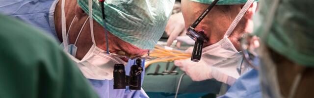 Svinjski organi biće superiorniji od ljudskih za transplantaciju, veruje jedan od najvećih stručnjaka