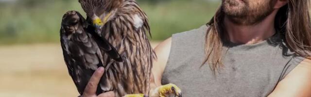 DRAMATIČAN PUT SRPSKOG ORLA FELIKSA Upao u zamku, završio na Bliskom istoku! Evo kako je spašen