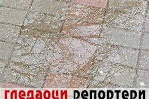 Гледаоци репортери (13. јануар 2023)
