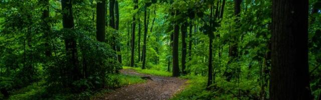 Nacionalni park počinje sa naplatom ulaska: Poznata i cena