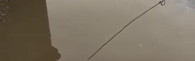 Voda u Ulici Svetolika Rankovića ne otiče do kišne kanalizacije, investitor obećava rešenje do kraja dana