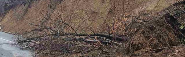 OPREZ! Kiša dovela do odrona na ovoj deonici puta u centralnoj Srbiji: Blato i drveće se sručili na kolovoz