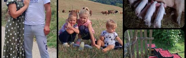 Đorđe dao otkaz, pa sa Kaćom i troje dece otišao na selo! Imaju 500 stabala šljive, uzgajaju maline... "Mnogo znači kad nemate šefa koji će da vam kljuca"