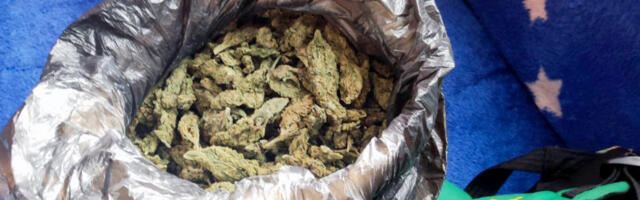 NA ROBIJU ZBOG NARKOTIKA  Osuđen zbog prodaje marihuane, na tri godine zatvora