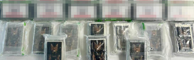 ZAPLENJEN 81 KILOGRAM KOKAINA I PREKO 100 KILA MARIHUANE Velika akcija policije, oglasio se Dačić!