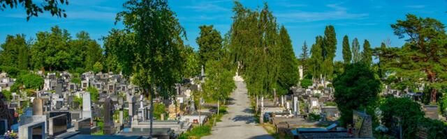 Snimak sa groblja u Šibeniku zgrozio javnost: Ostaćete bez teksta kad vidite kojom prečicom je proterao auto!