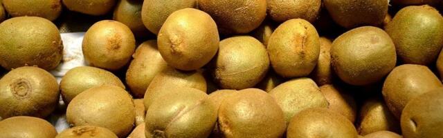 Severna Makedonija zabranila uvoz više od 20 tona kivija iz Srbije