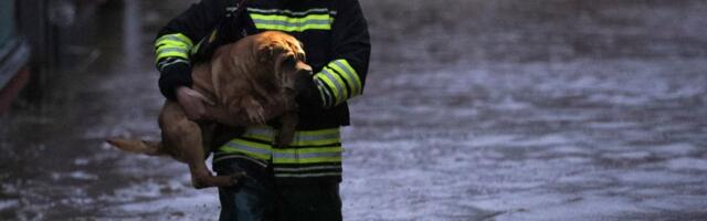 Izlila se reka Sitnica: Poplavljeno više sela u opštini Gračanica, kiša ne prestaje da pada