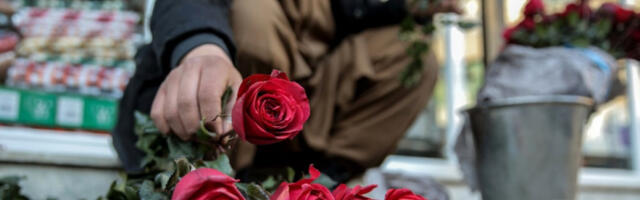 За крађу 40 ружа из цвећаре до четири године затвора